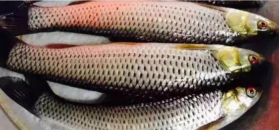 海南，浪漫自然之旅，邂逅热带风情