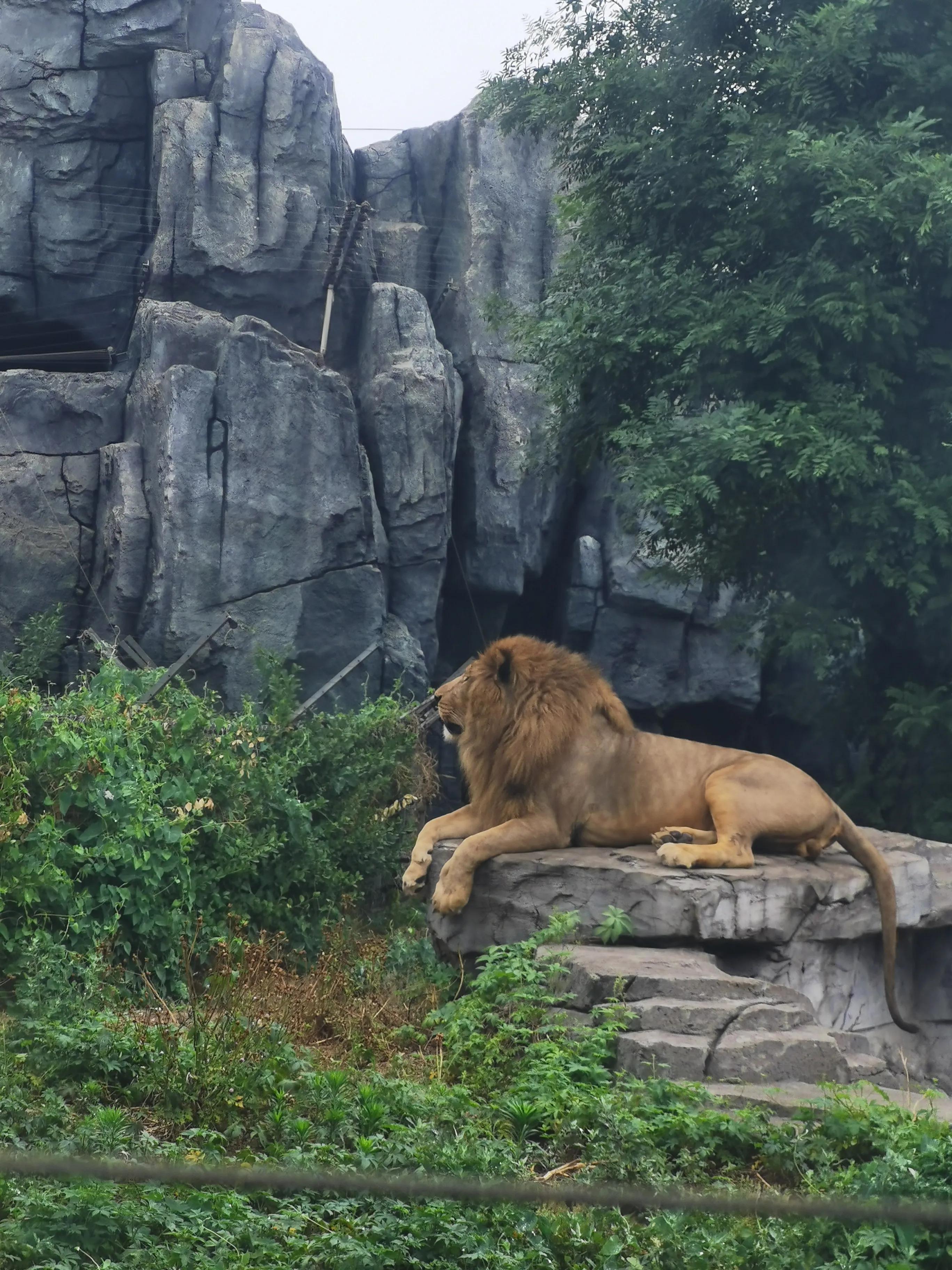 梦想之城，唐山，自信摇篮的辉煌历程